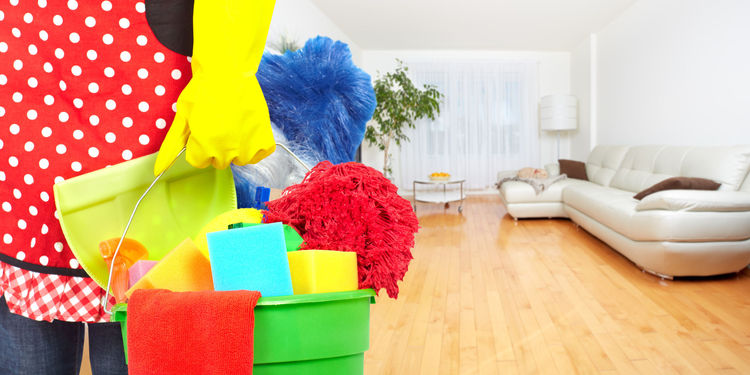 Professional cleaning service